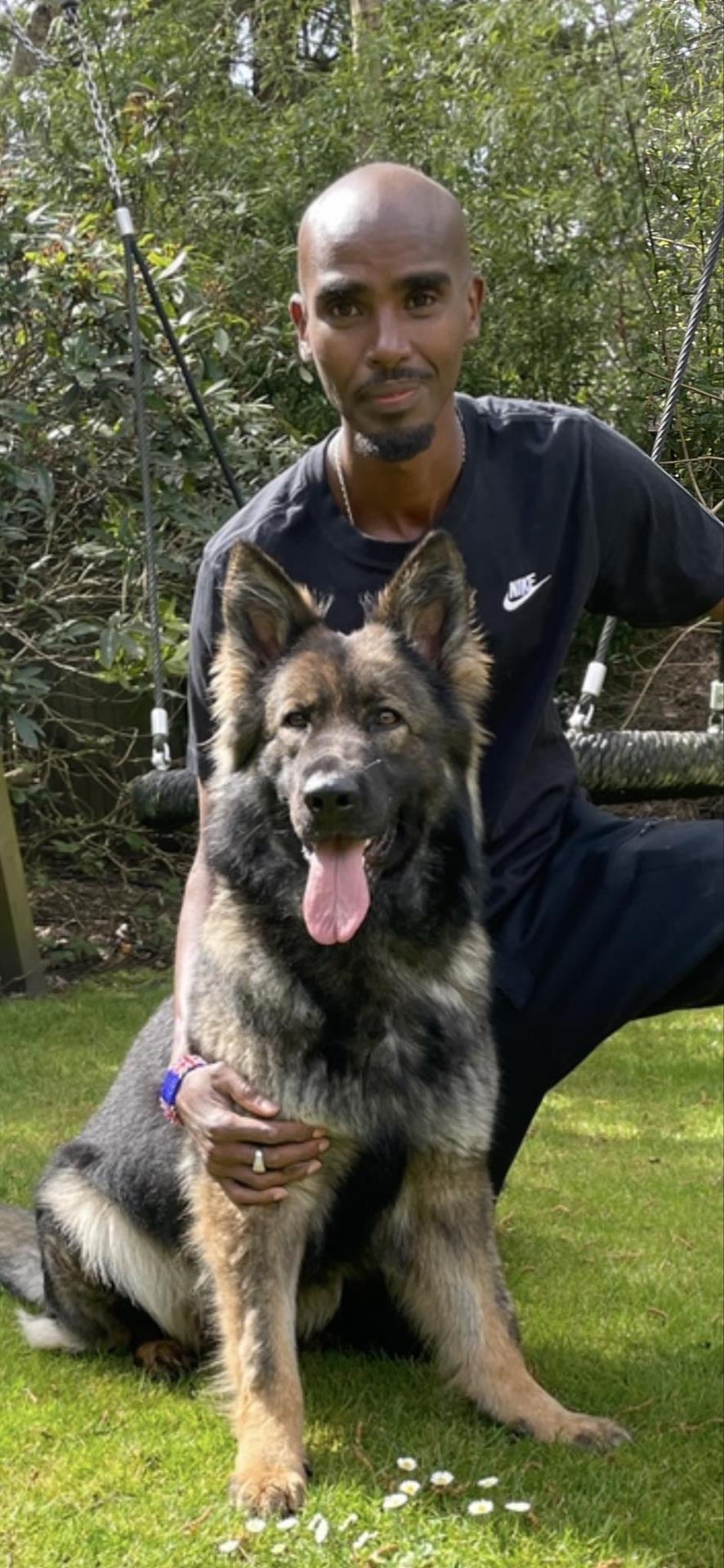 Mo Farah and K9 Protection dog